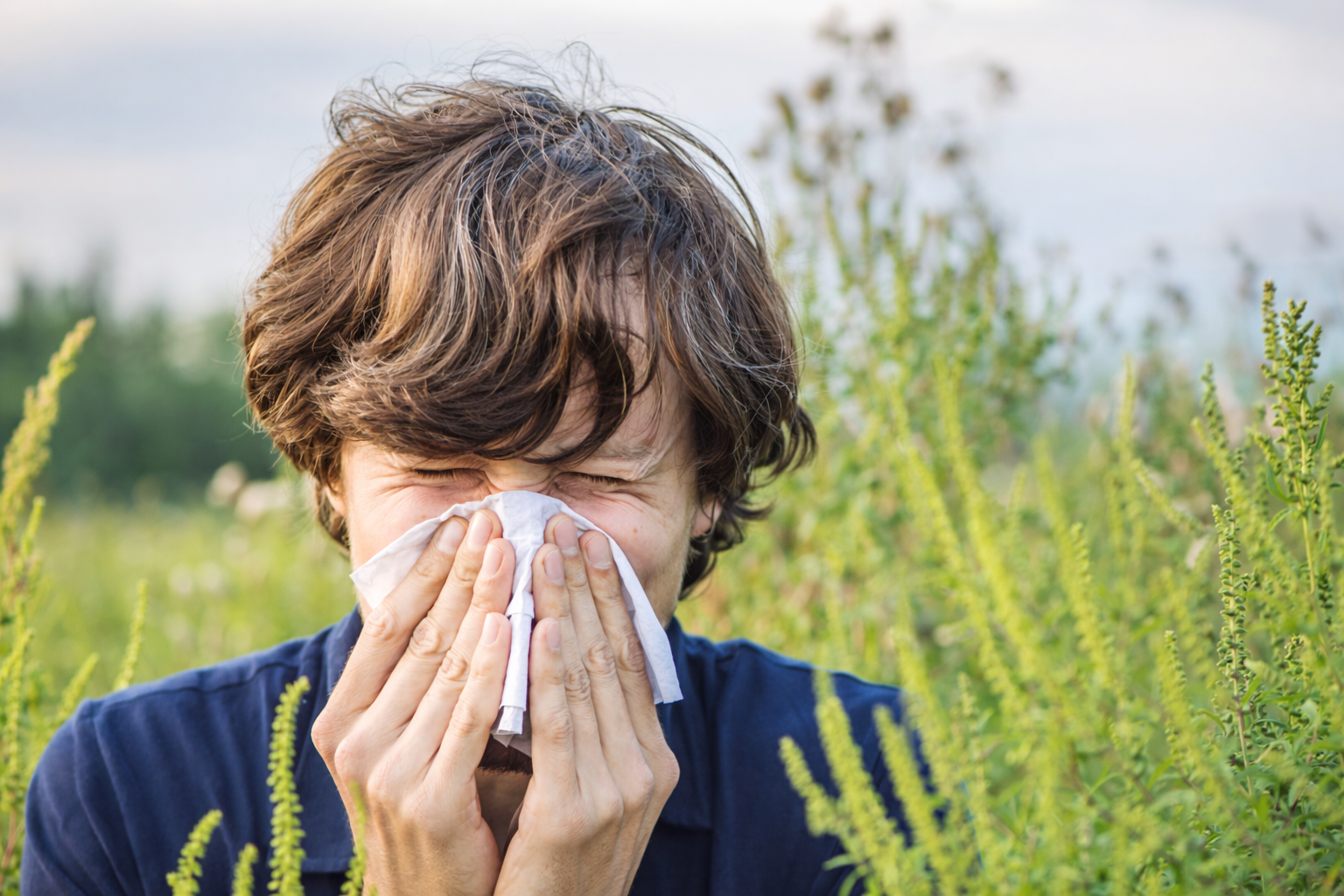 Allergia all’acaro: come ridurre i sintomi con prodotti specifici