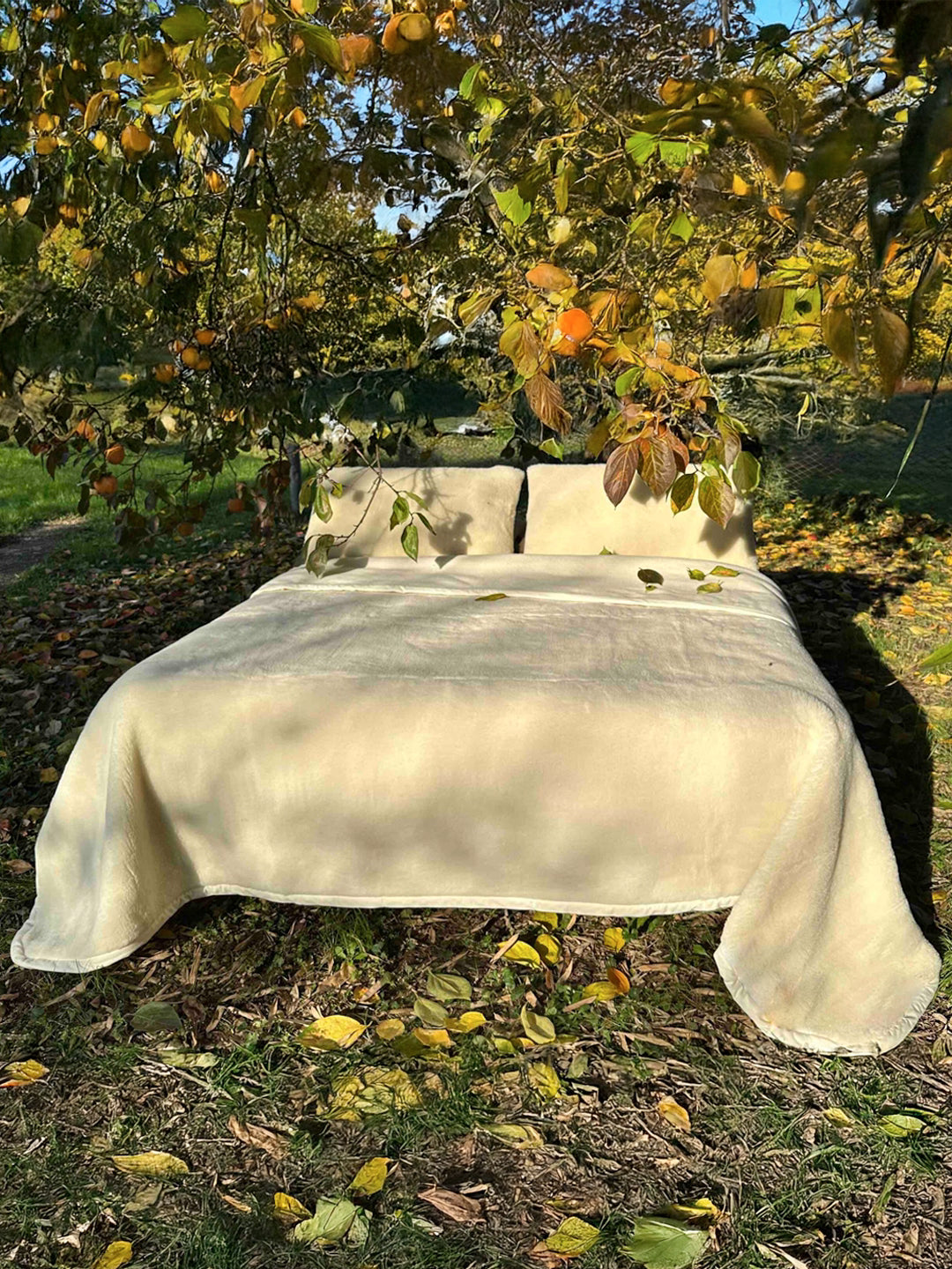 Coperta lana Merinos FIR invernale