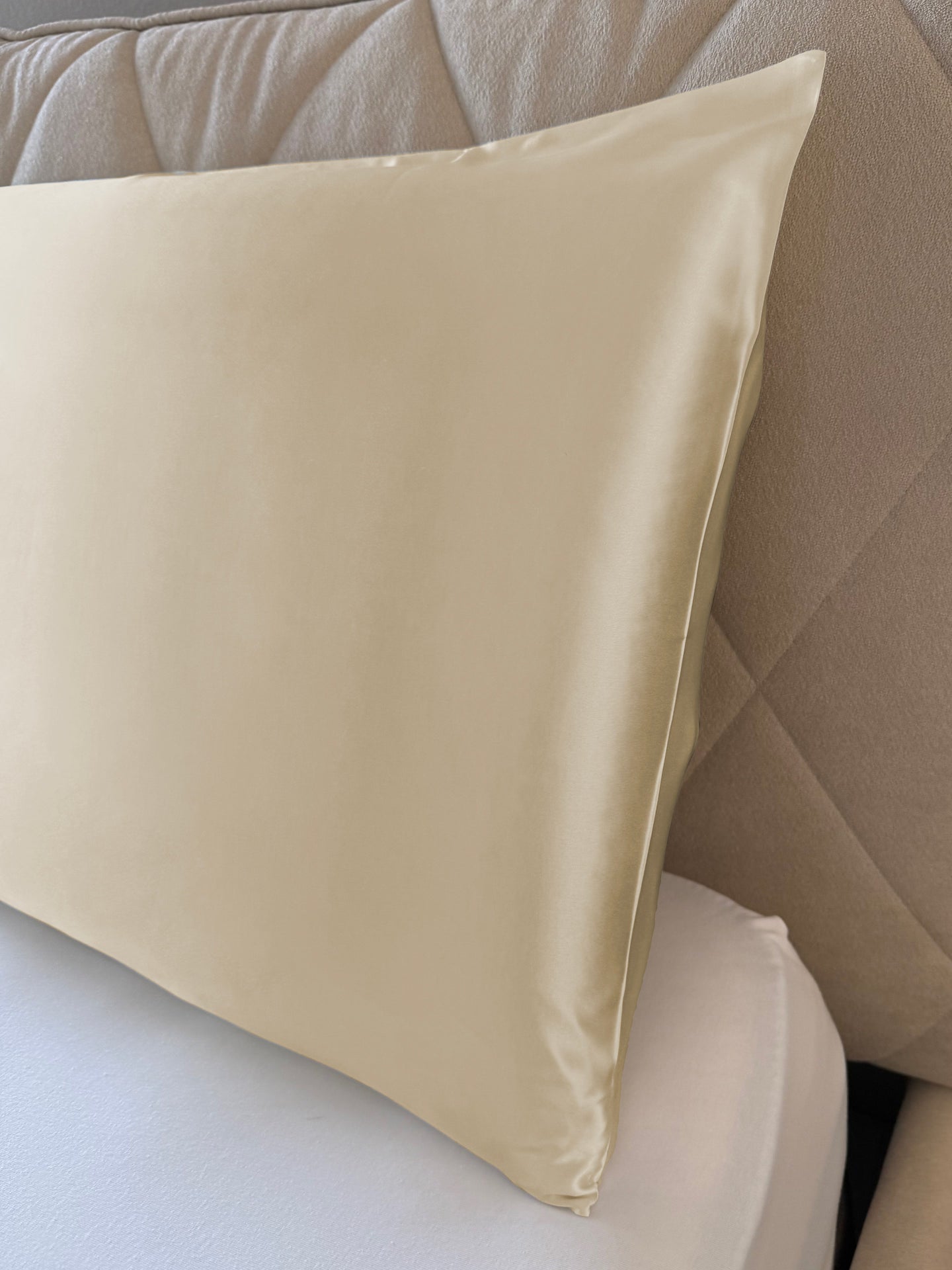 Federa In Seta Di Gelso 100% – 22 Momme – 50x75 Cm – Con Cerniera Nascosta – Ipoallergenica – Colore Bianco Freddo – Confezione Regalo - 4