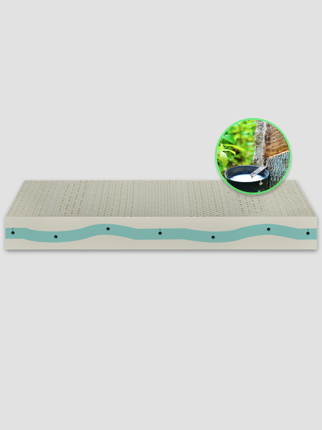 Ergolatex