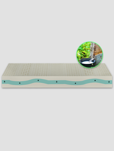 Ergolatex